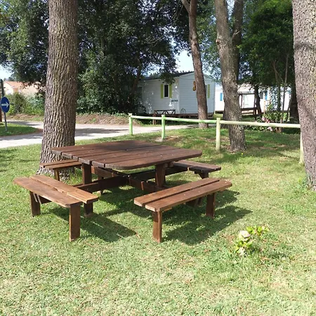 Slow M'ocean Camping *