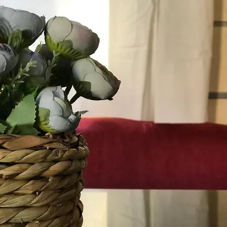 Slow M'ocean Kemping Pataias