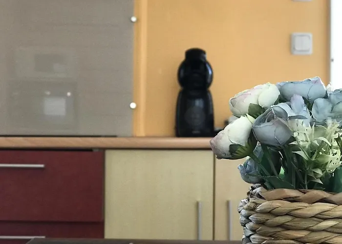 Slow M'ocean Parque de Campismo